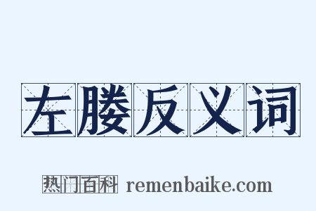 左媵反义词是什么意思的图片